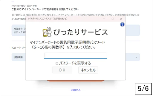 Download MynaPortal para Chrome: Acesse Serviços Públicos Online - Screenshot 5