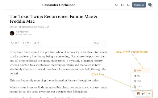 Substack PDF Downloader: Exporte Posts para PDF e Markdown - Screenshot 2
