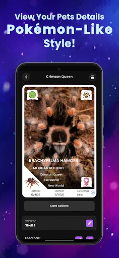 Arachnifiles: Pet Tracker – Gerencie seus Aracnídeos com Facilidade - Screenshot 4